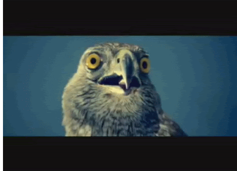 Just watched Pulp Fiction, Fight Club, Se7en, and The Shawshank Redemption for the very first time today!