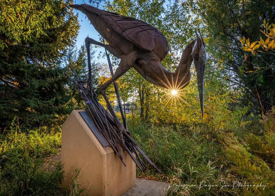 Majestic Crane in All Its Glory