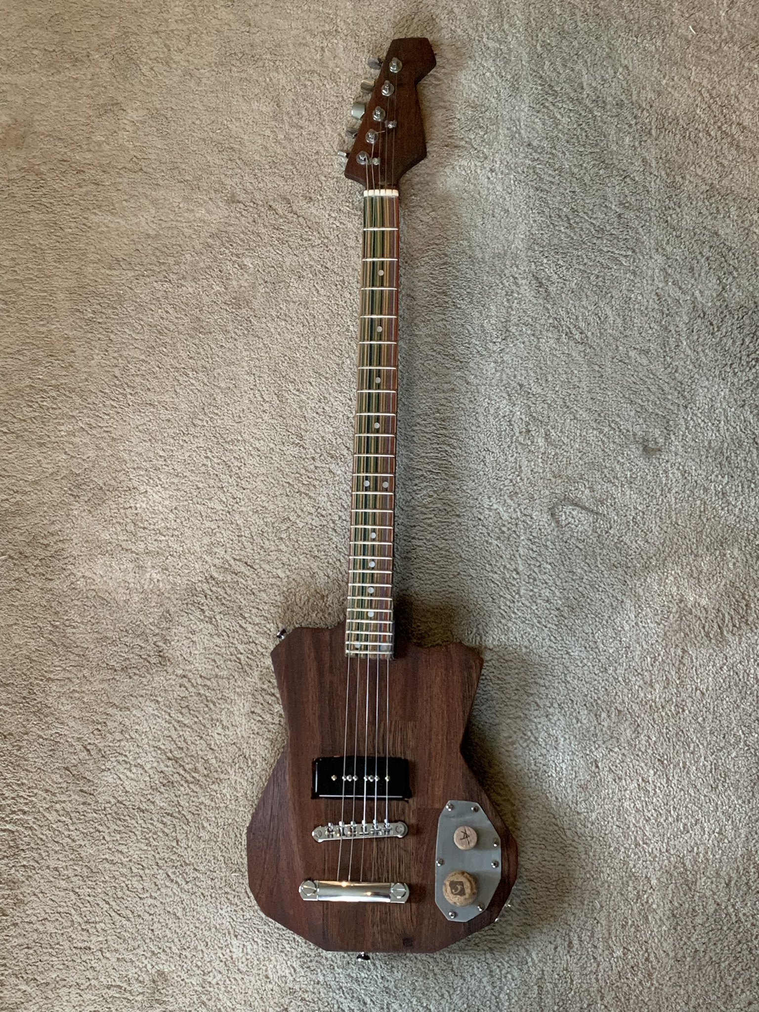 Check Out My Custom Five-String Electric Guitar!