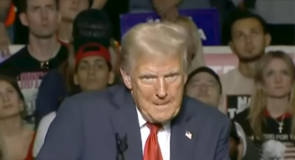 Is This Person a Truly Stable Genius?