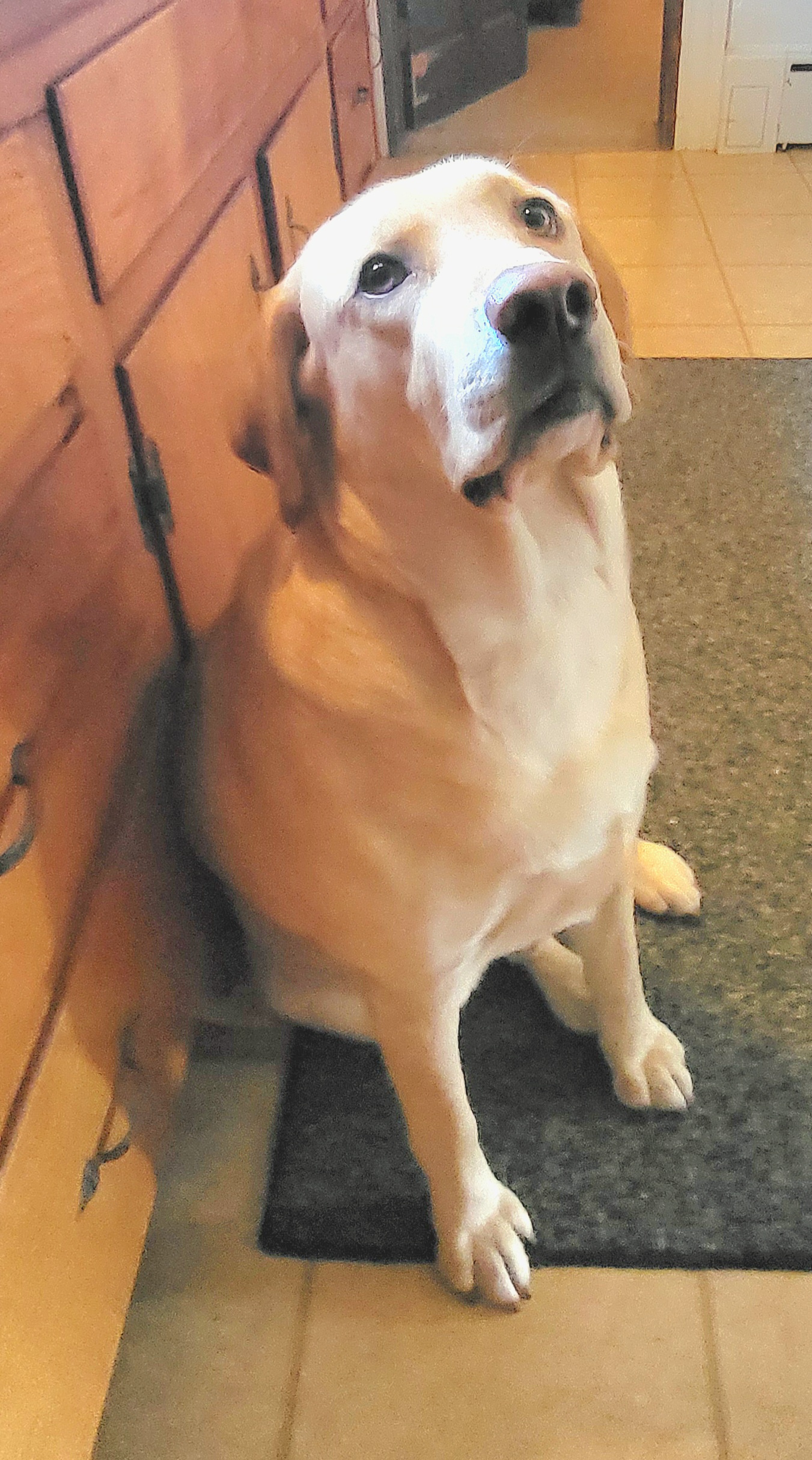 So... what do you have for me?