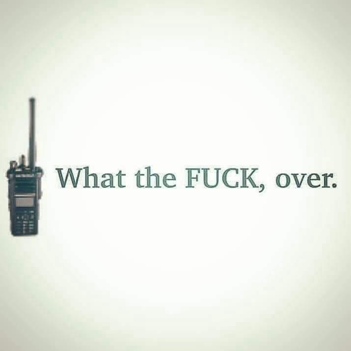 Memes that have been borrowed and shared!