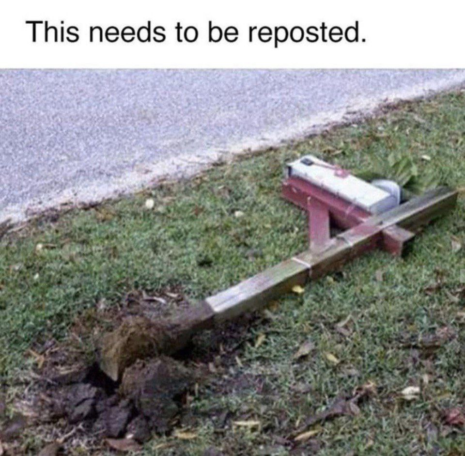 This Post Deserves a Repost: Spread the Word!
