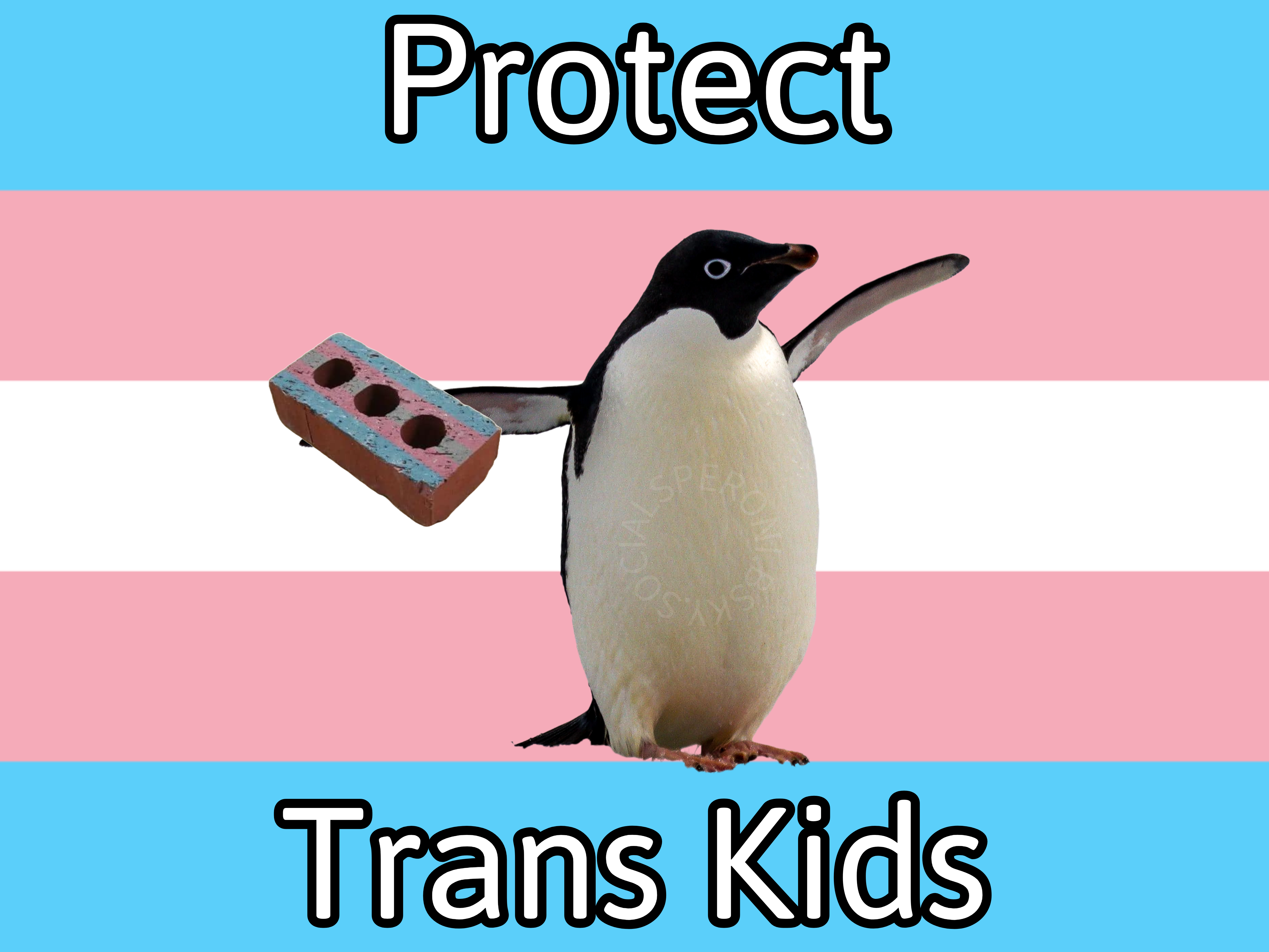 Standing Up for Trans Kids: A Call to Action