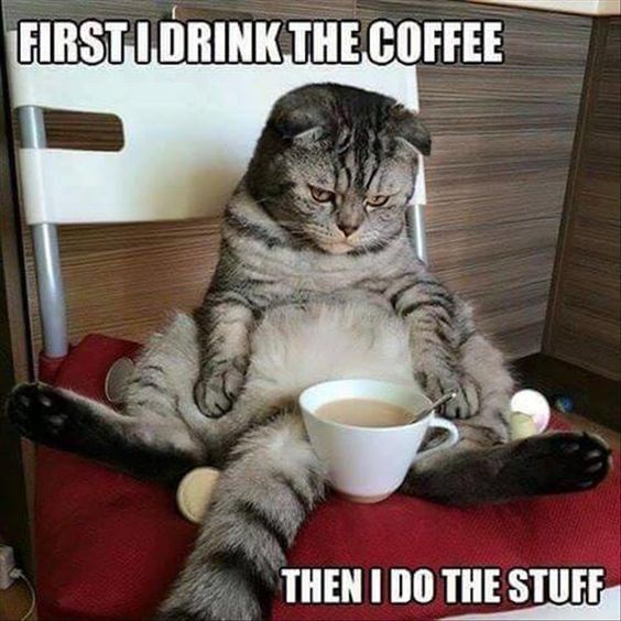 That Midweek Vibe We're All Too Familiar With...