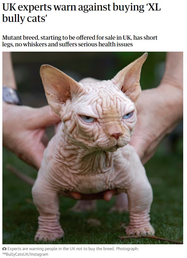 Let's put an end to Frankenpets!