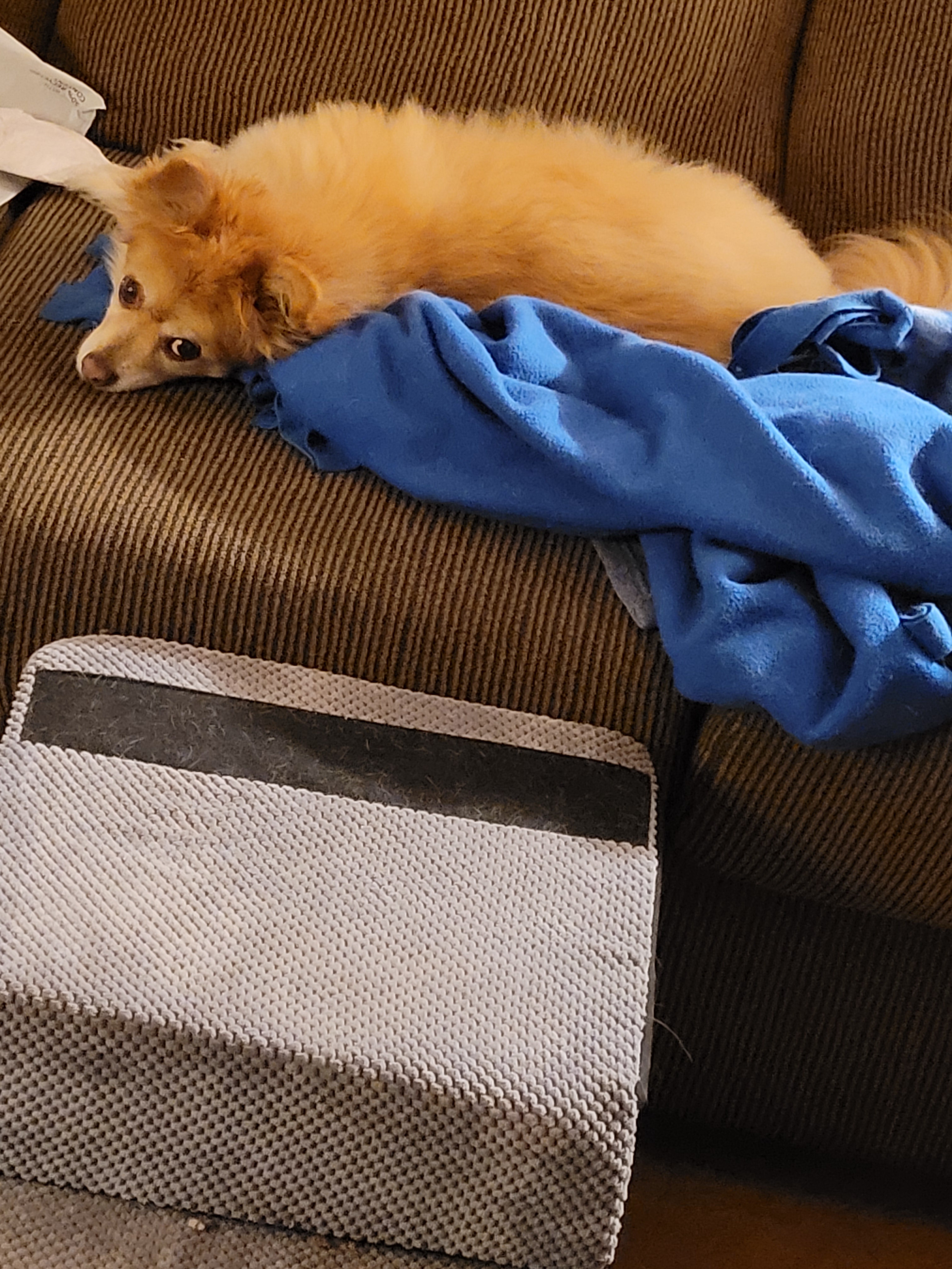 Caught in the Act: The Sneaky Peek
