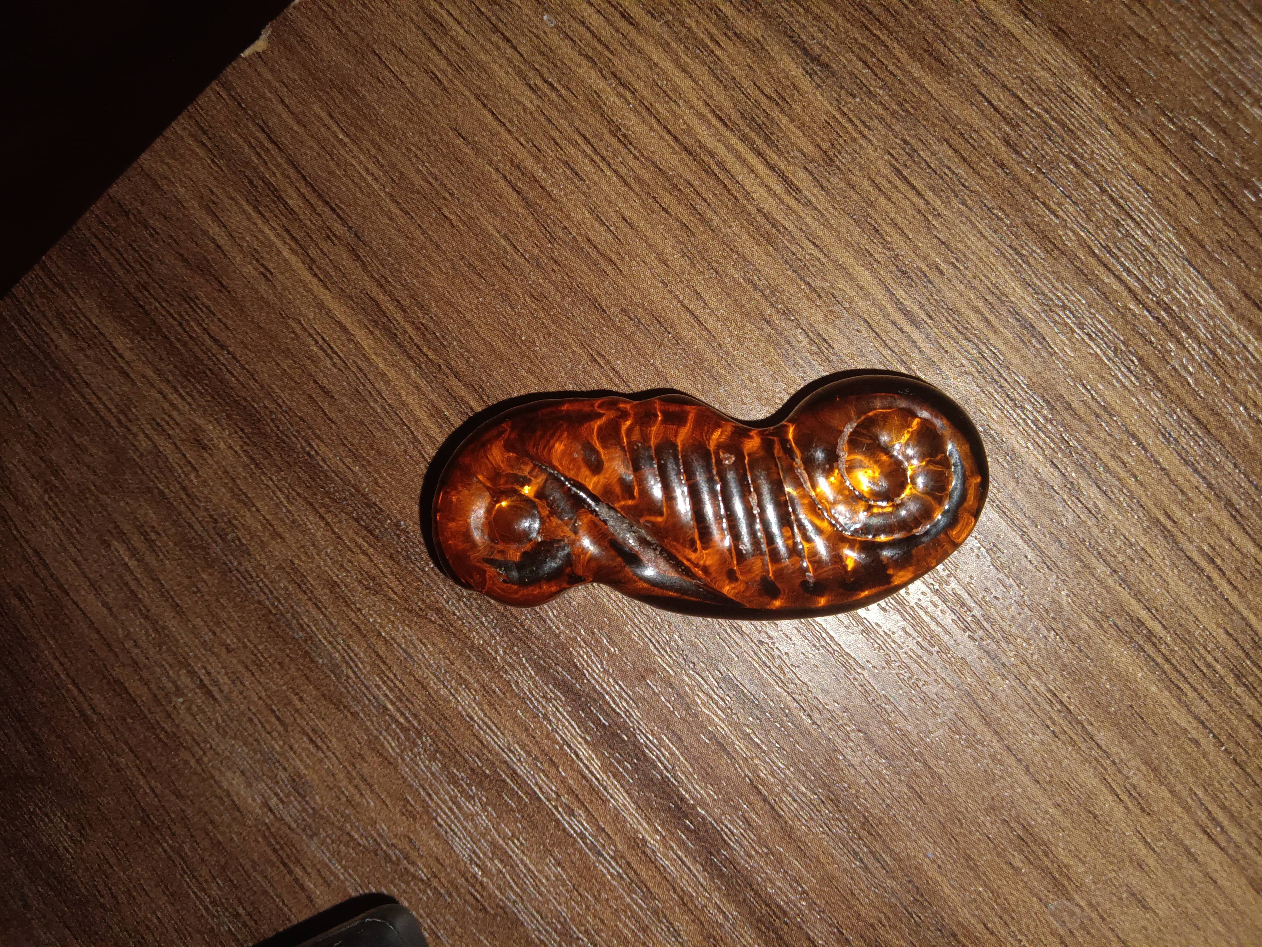 Is That a Seahorse I See?