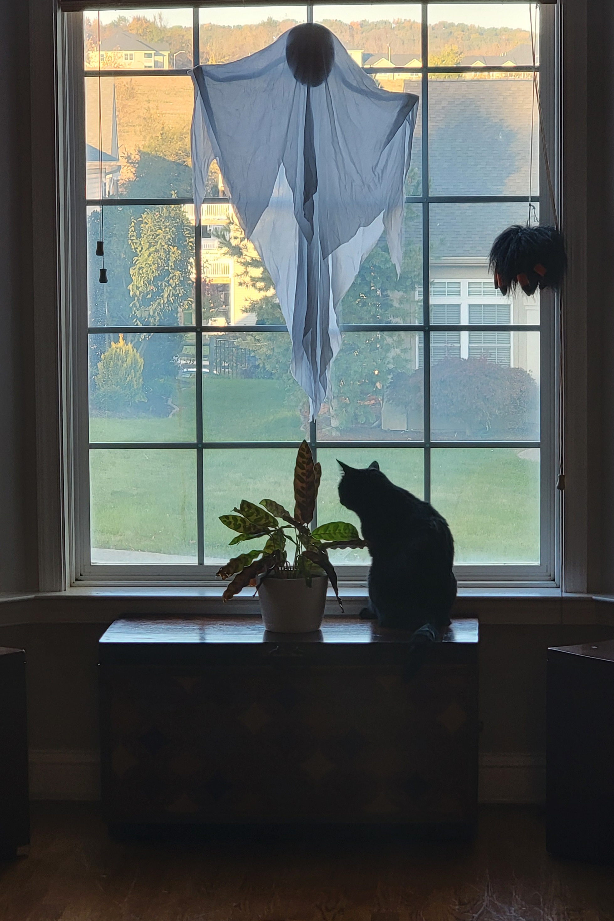 Can You Guess the Halloween Decor?