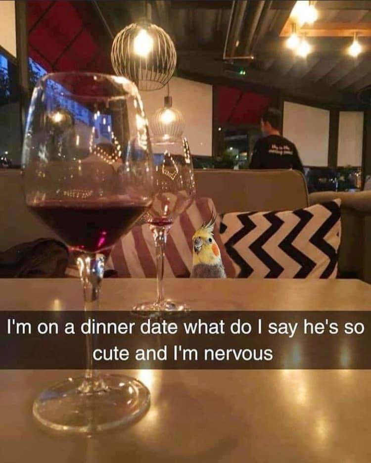 I would totally lose my mind over this!