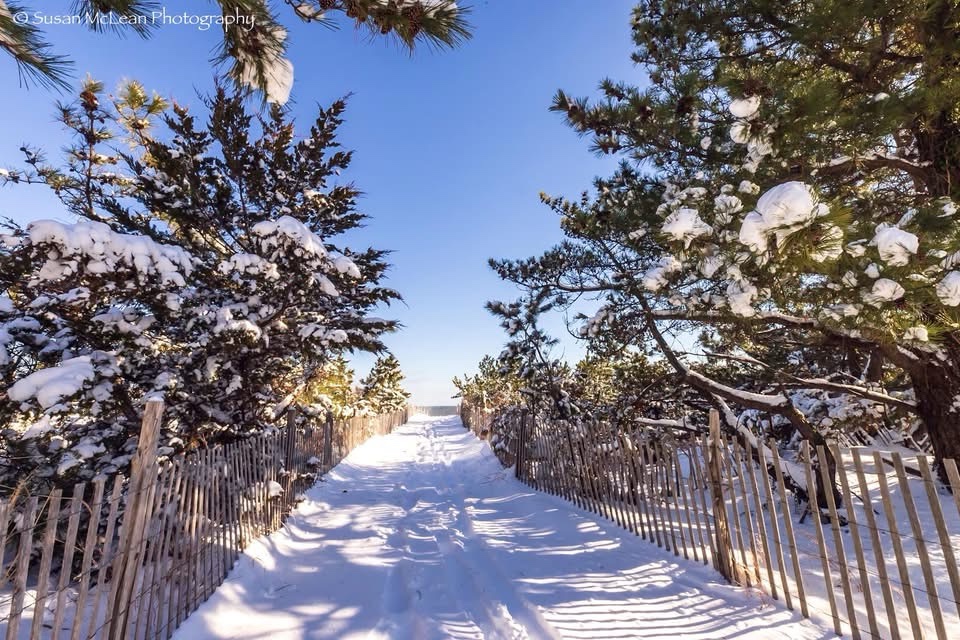 A Winter Wonderland: Snowy Walk to the Beach
