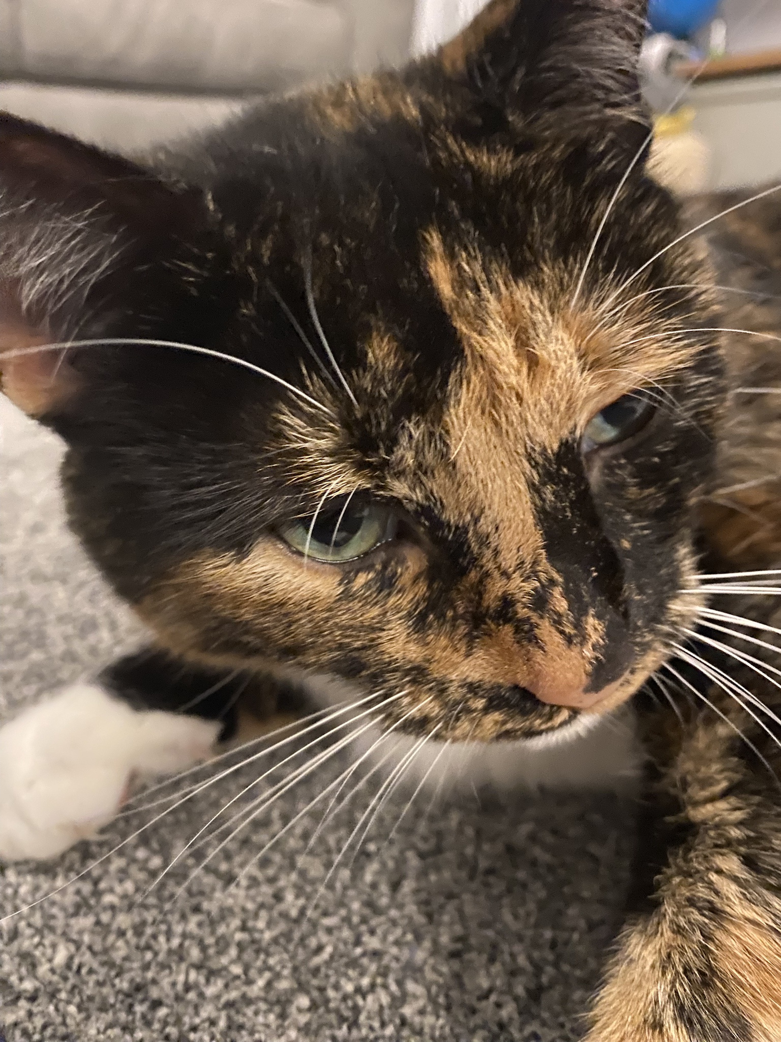Crumble's Daily Snapshot: A Picture Worth a Thousand Words