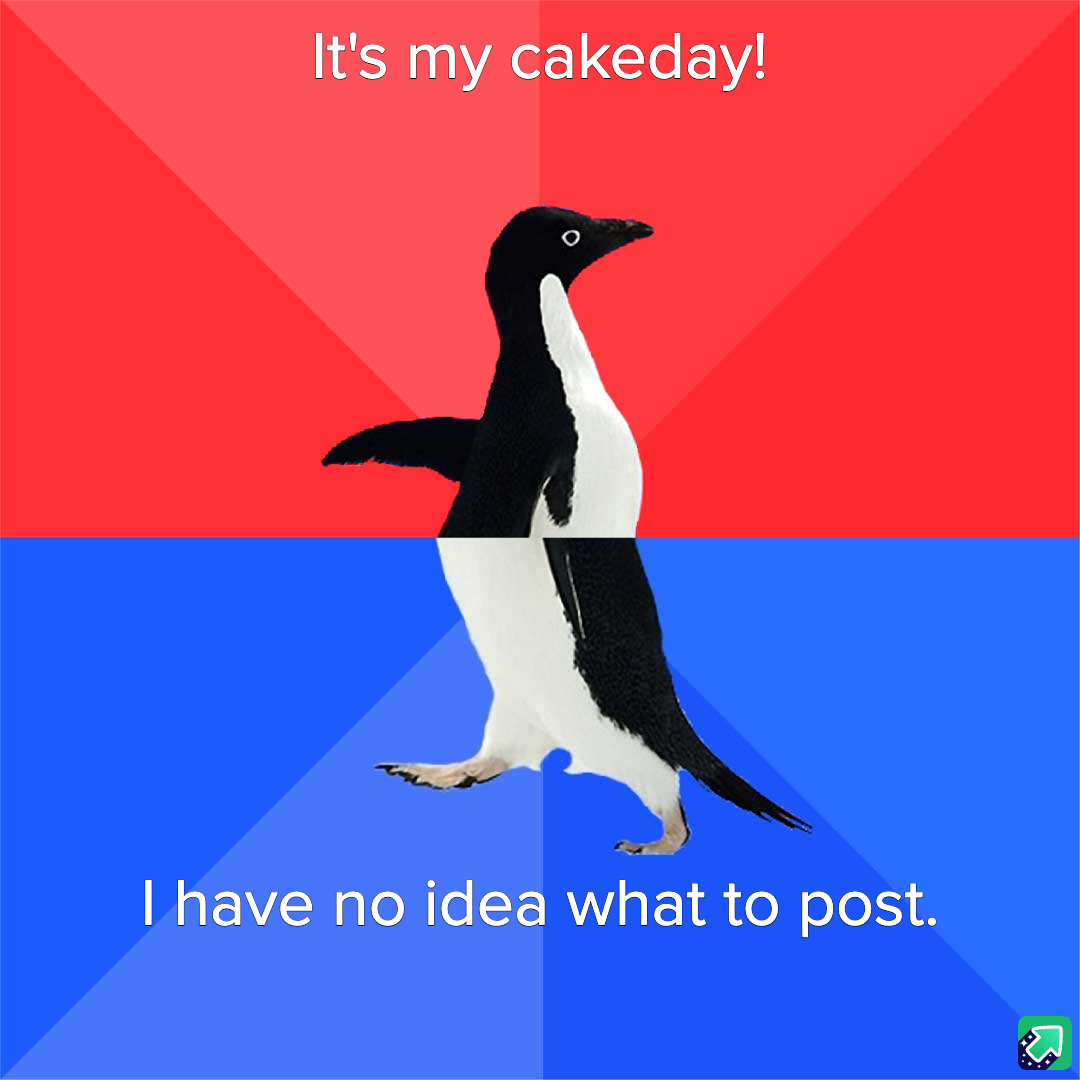 Celebrating My Cake Day: Better Late Than Never!