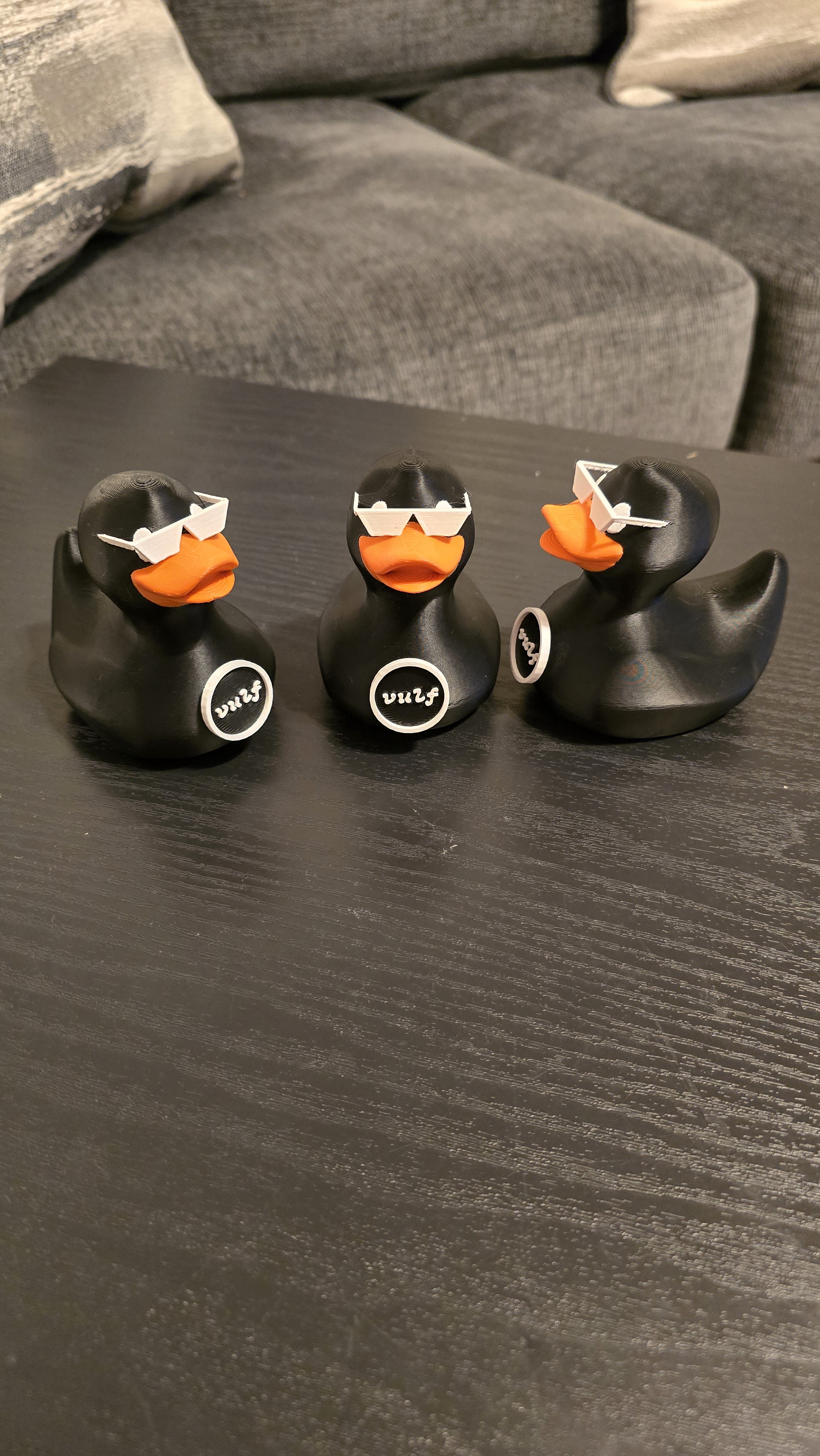 The Quirky Adventures of Funky Ducks