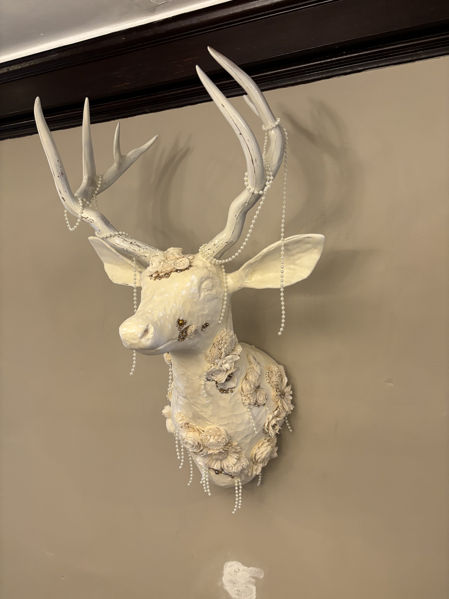 Check out this adorable new deer!