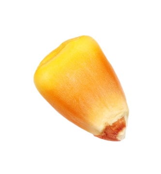 Team A's Secret Weapon: Corn Power!