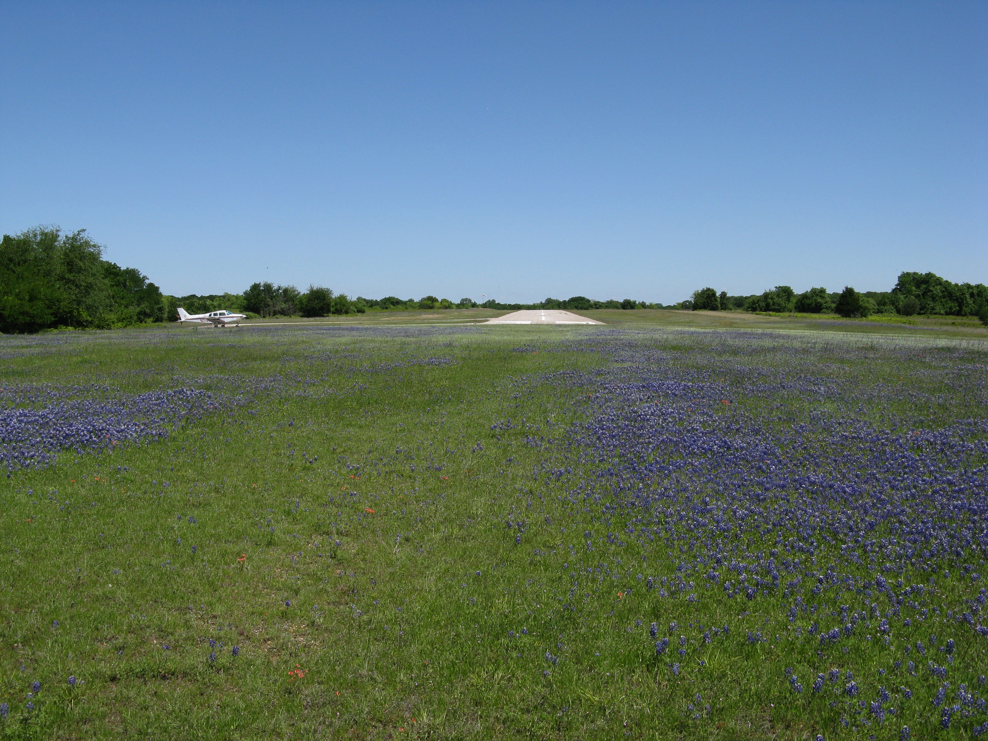 A Glimpse of Lake Whitney State Park in April 2010