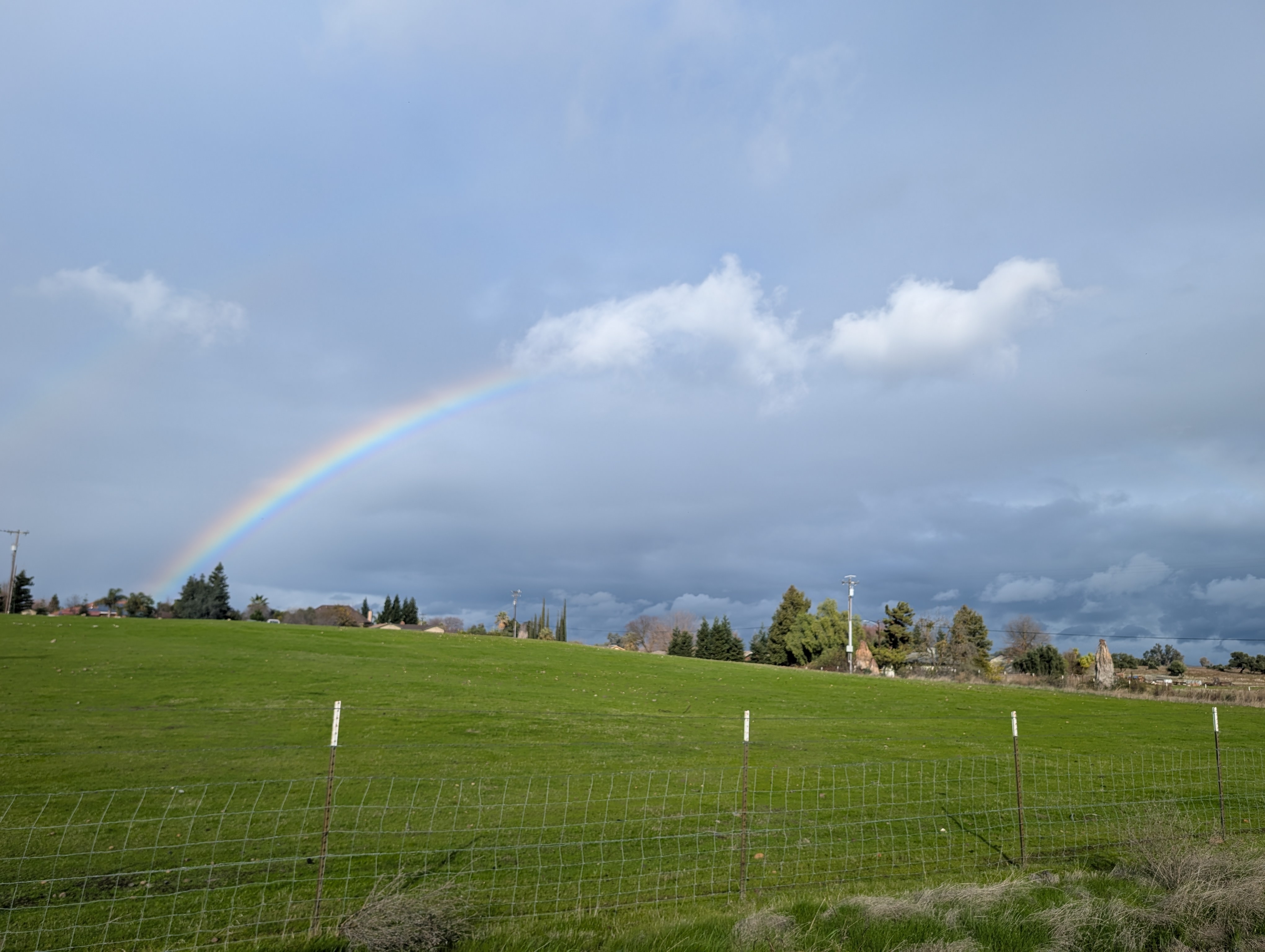 A Burst of Color: It's a Rainbow!