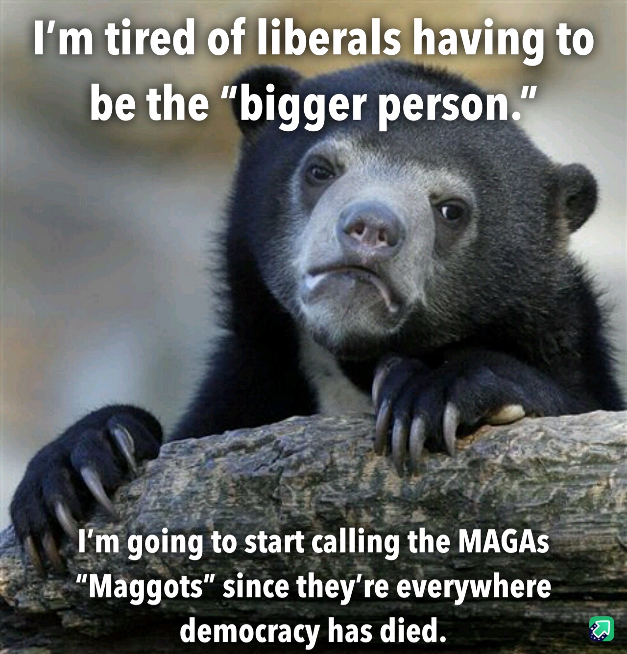 I know, it's an insult to maggots!