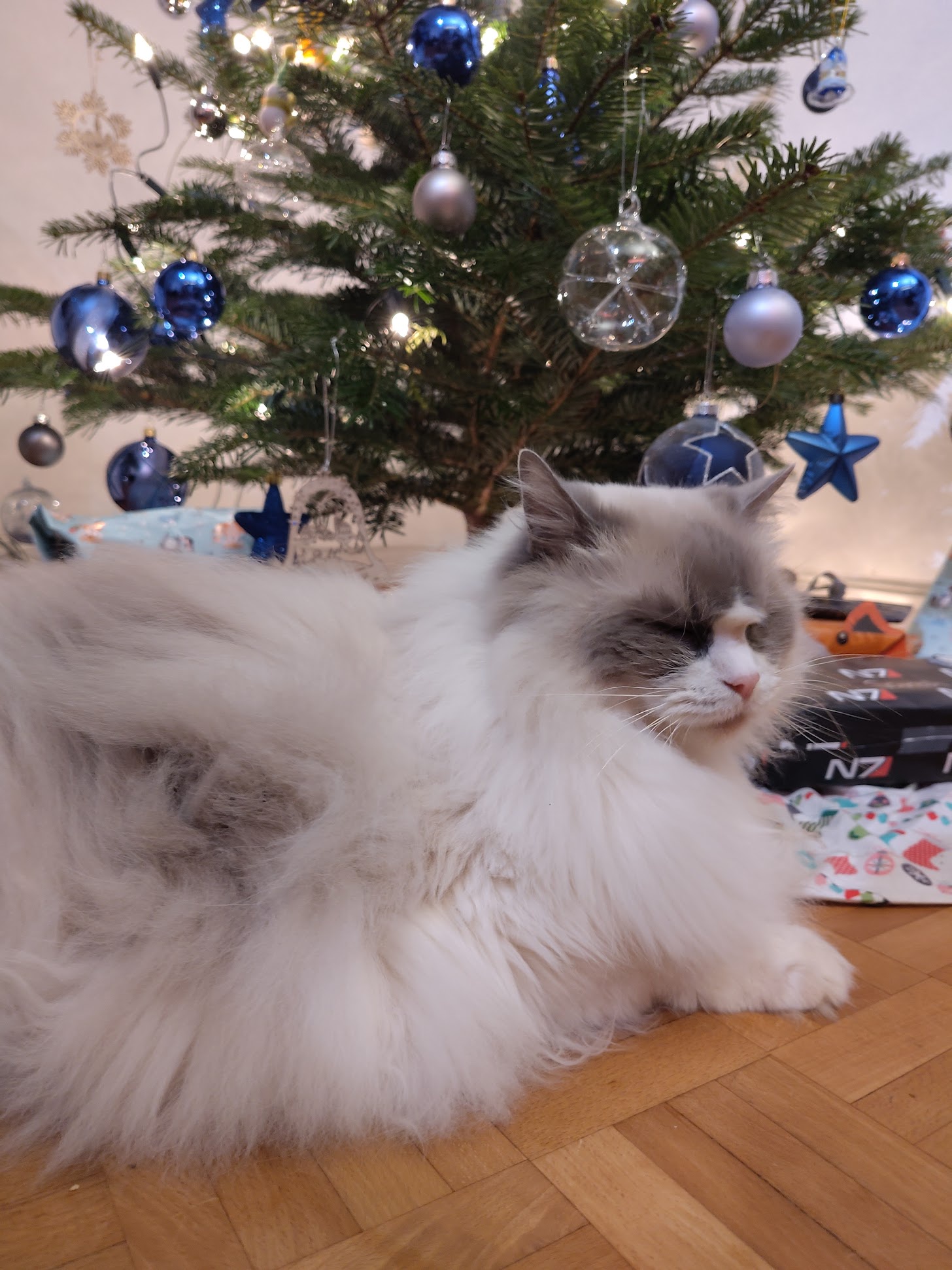 Wishing You a Merry Christmas!