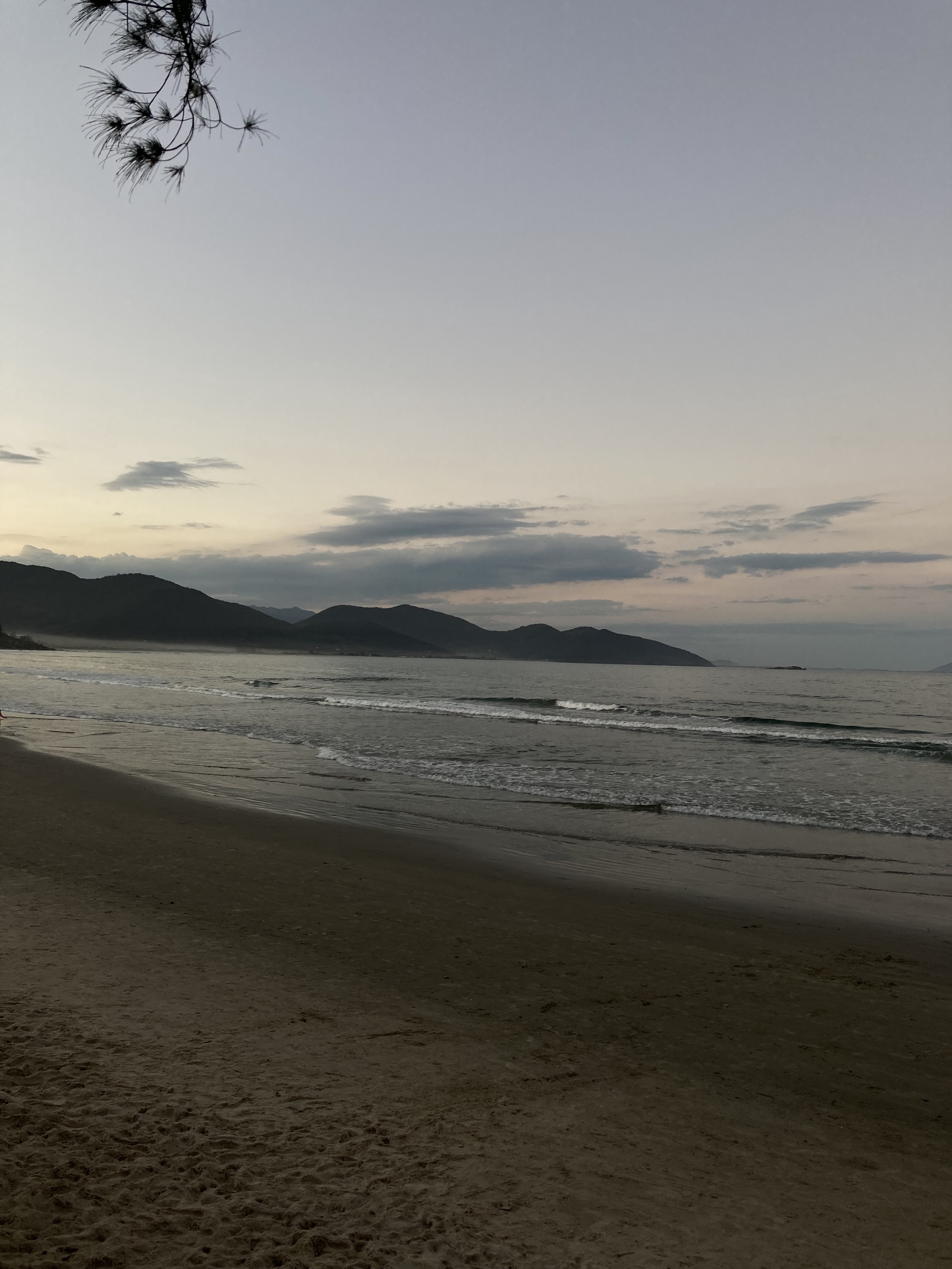 Discovering Garopaba-SC: A Hidden Gem