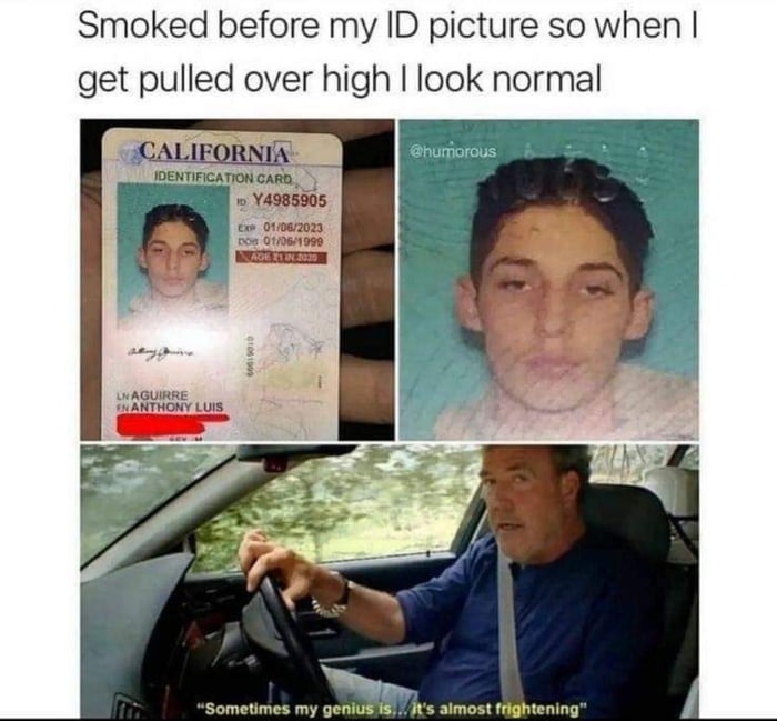 The Mind of a True Genius