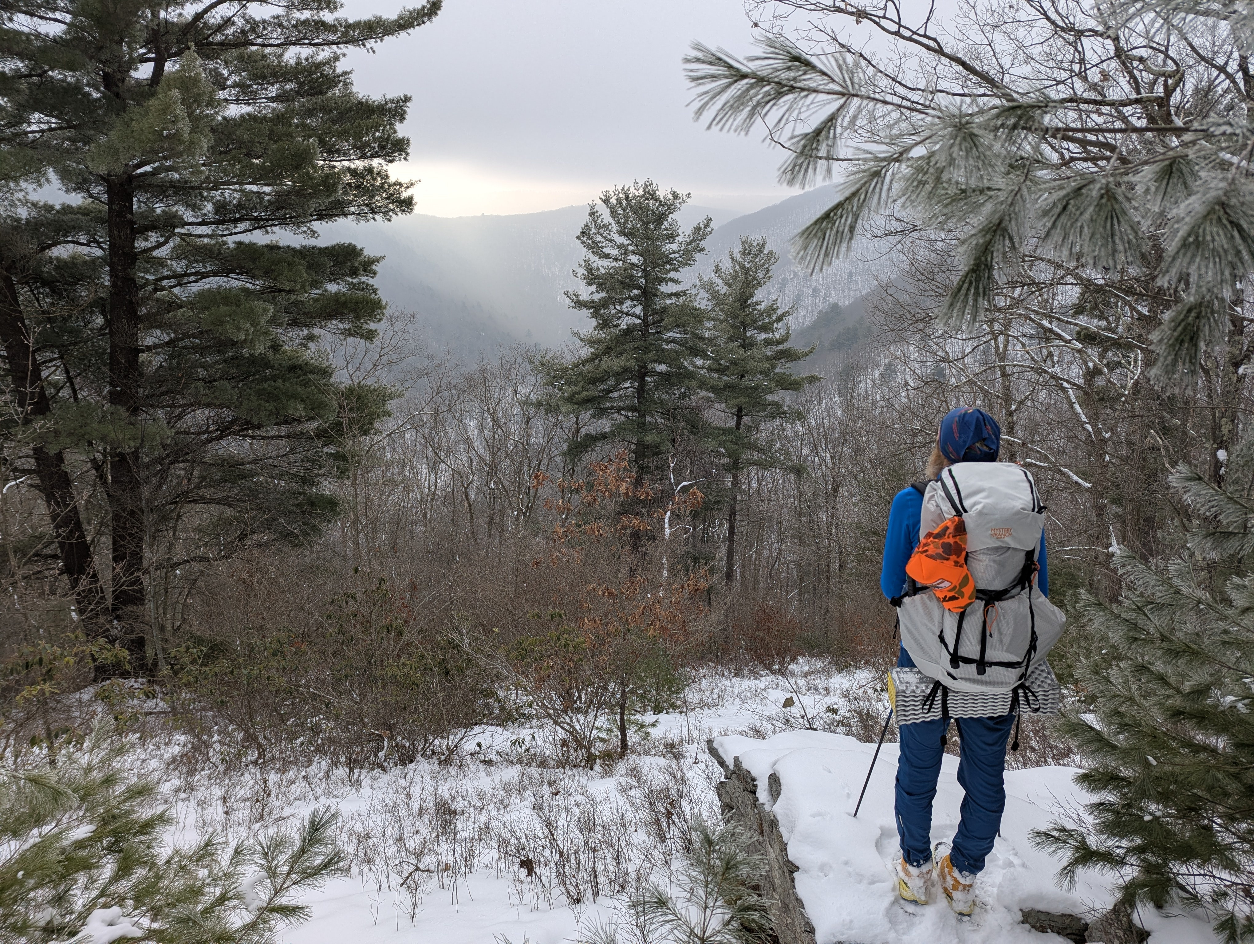 Discover the Scenic Beauty of Black Forest Trail in Pennsylvania