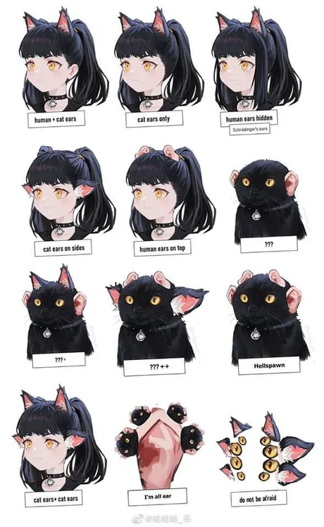 Your ultimate guide to rocking cat ears.