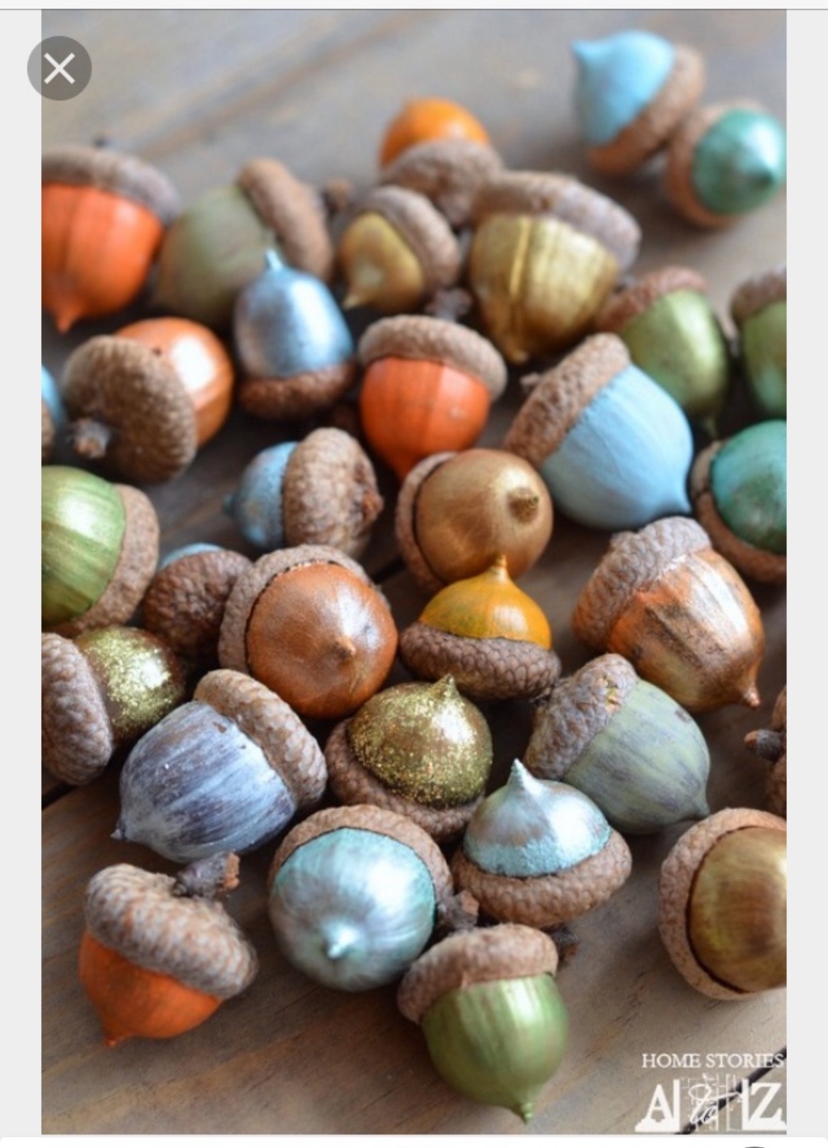 Team Acorn: A Beautifully Diverse Squad