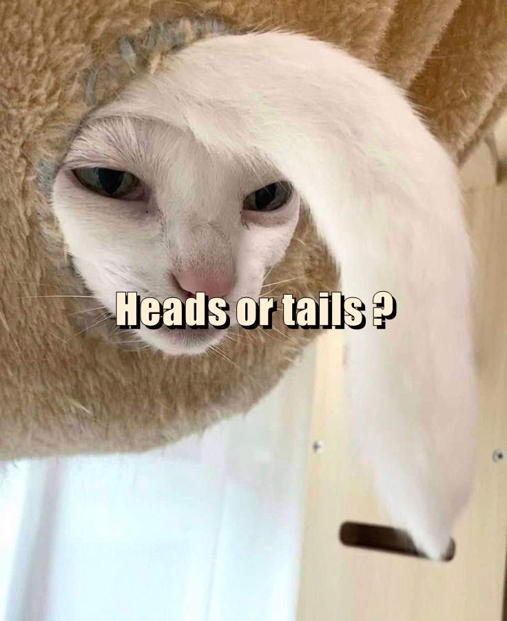 It's your turn to decide...