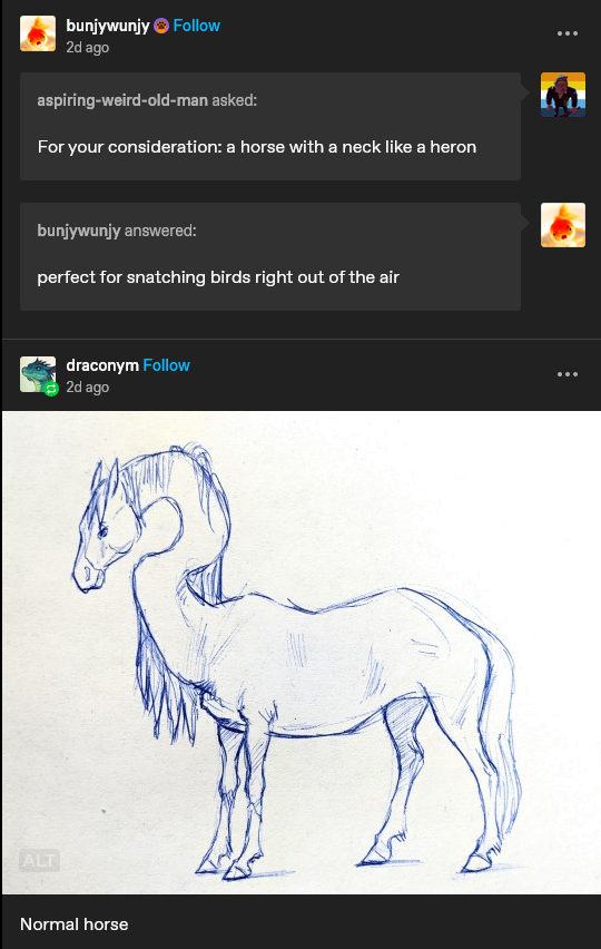 Just Your Average Everyday Horse
