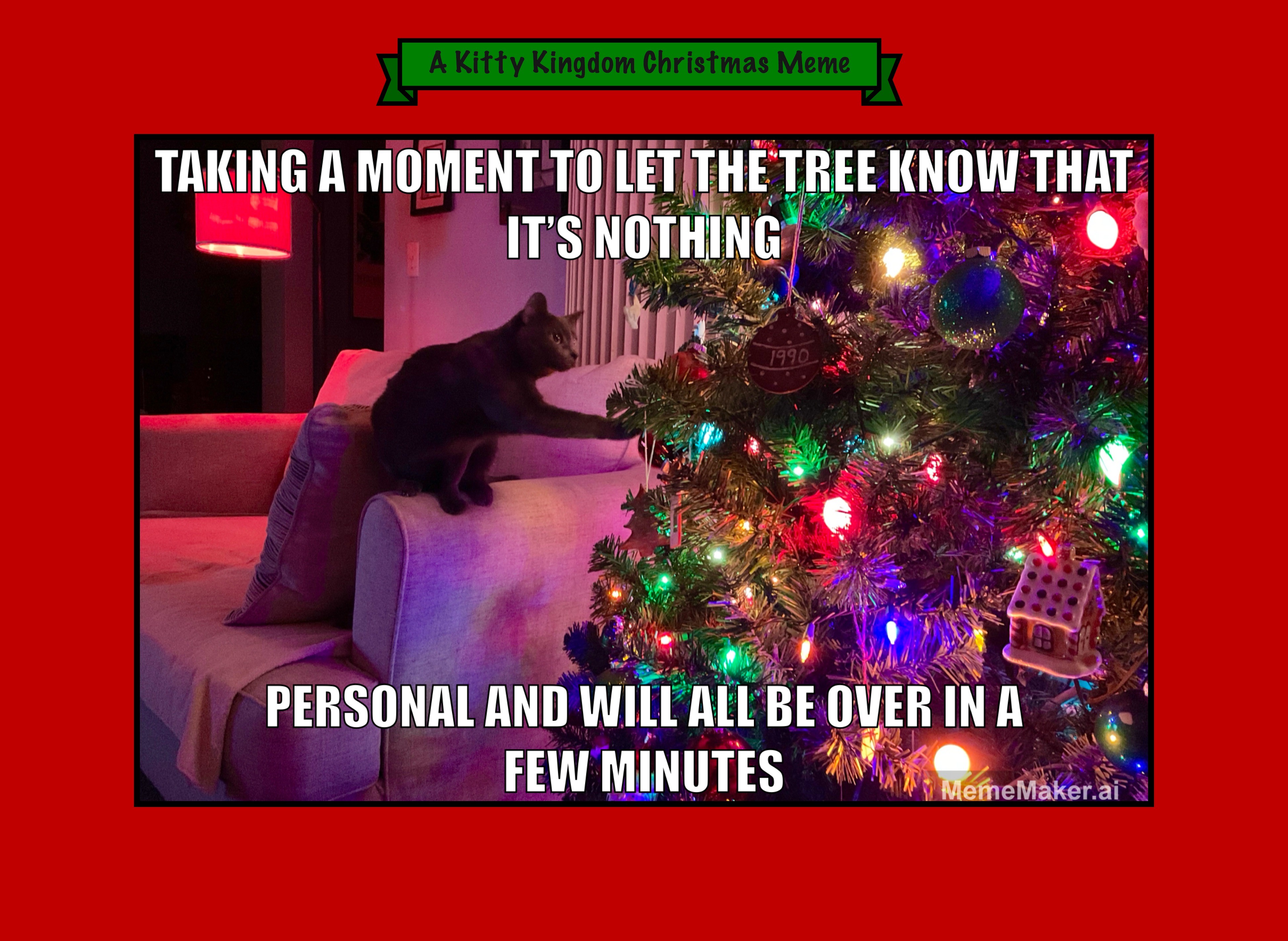 Countdown to Christmas in the Kitty Kingdom: Day 22!