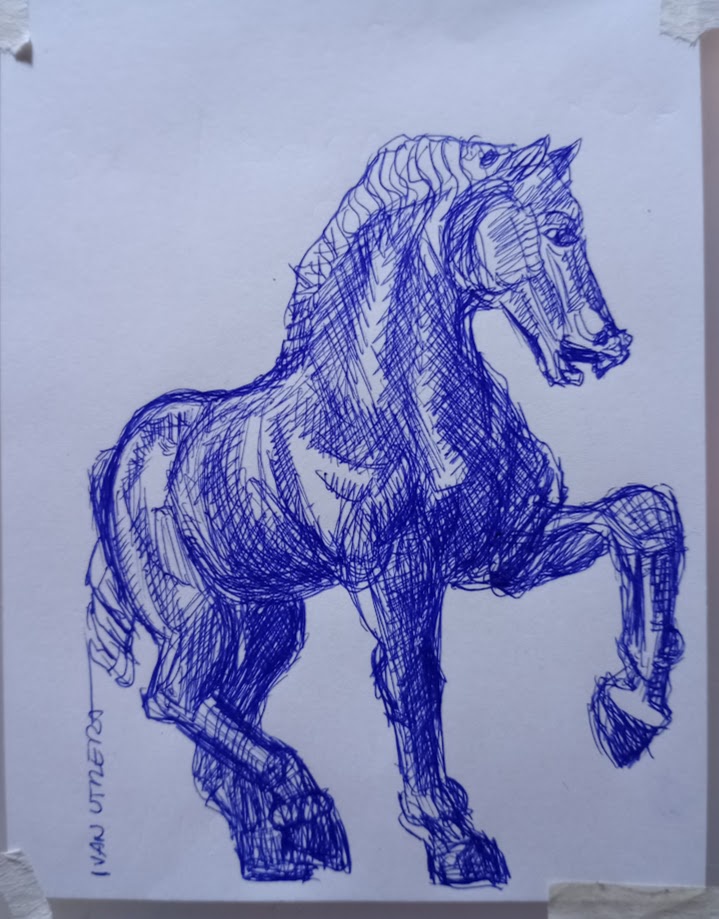 A Majestic Horse in Its Natural Habitat