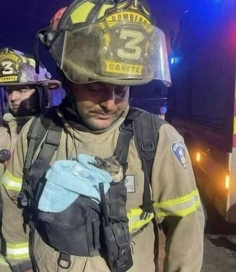 A Mexican Firefighter in LA with a Feline Friend