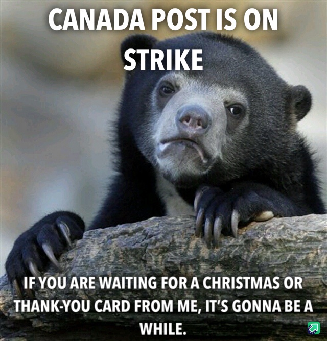 My Apologies