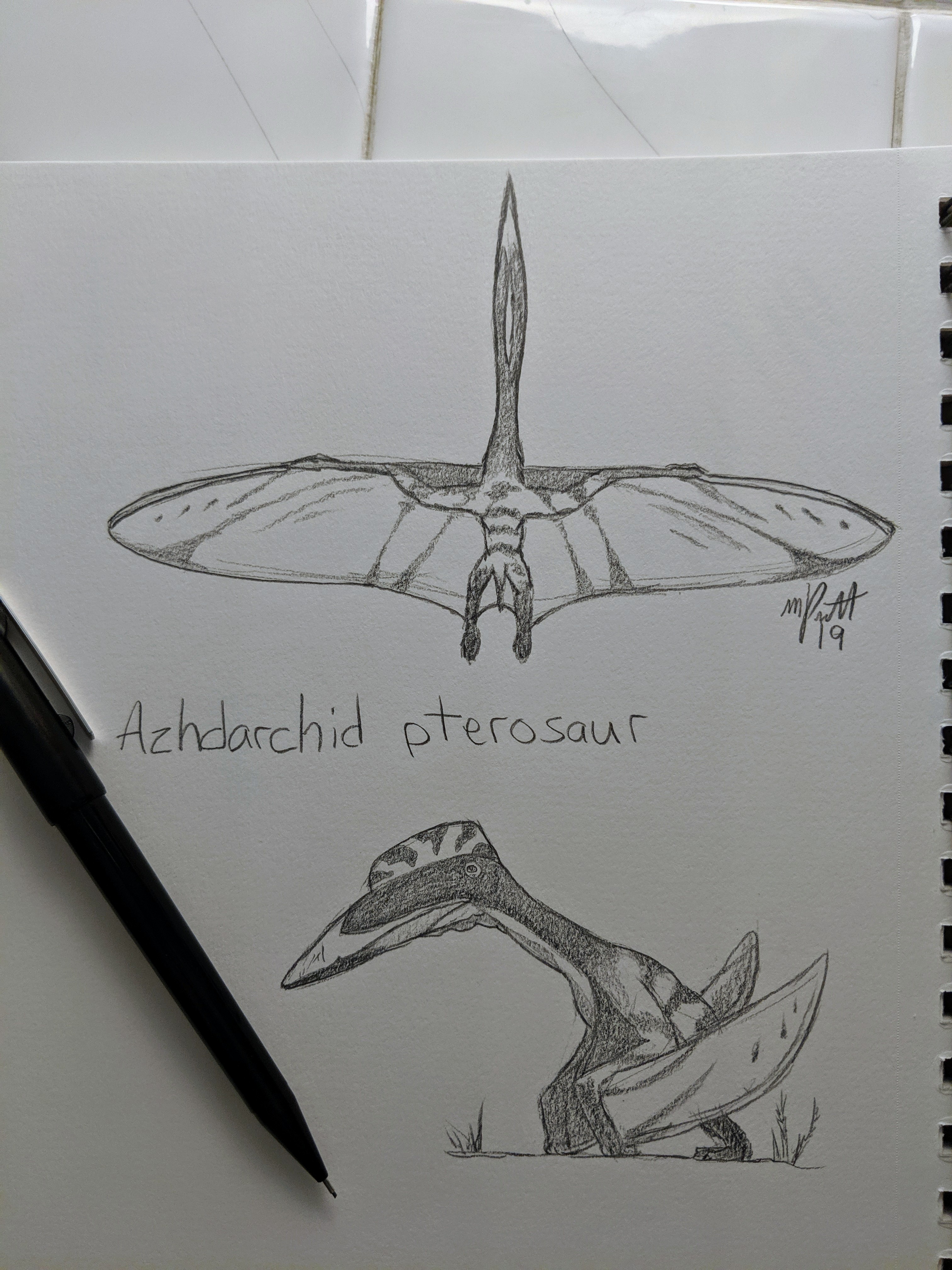 Daily Art Showcase: Pterosaur from 2019