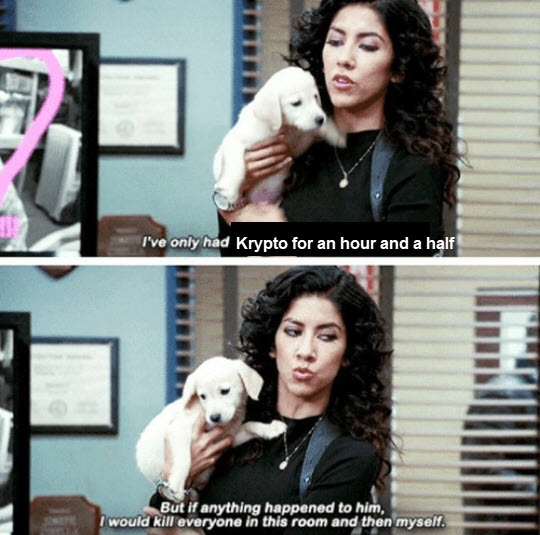 52 out of 10: The Goodest Dog
