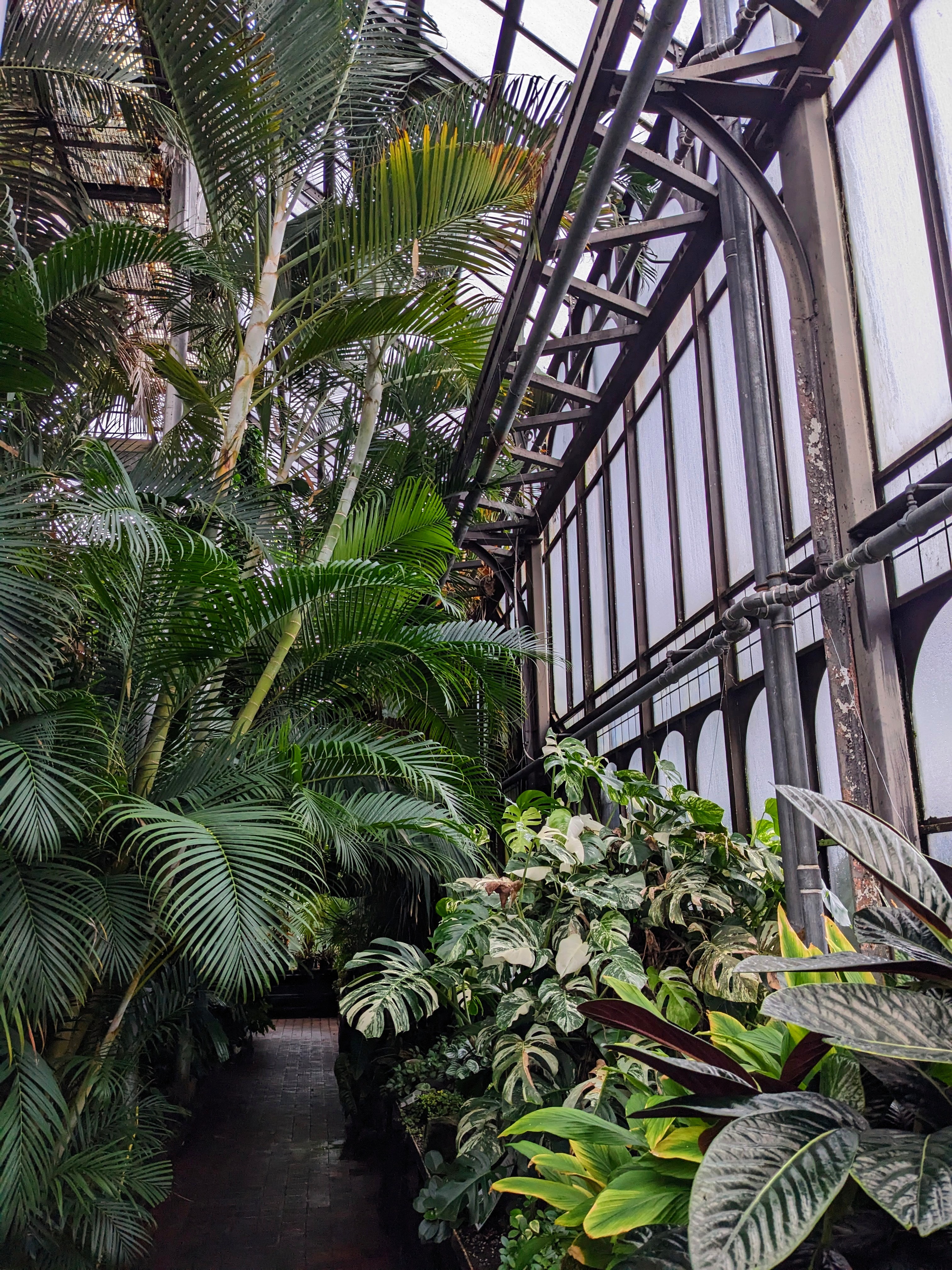 Embracing the Cozy Vibes of a Rainy Day in the Greenhouse