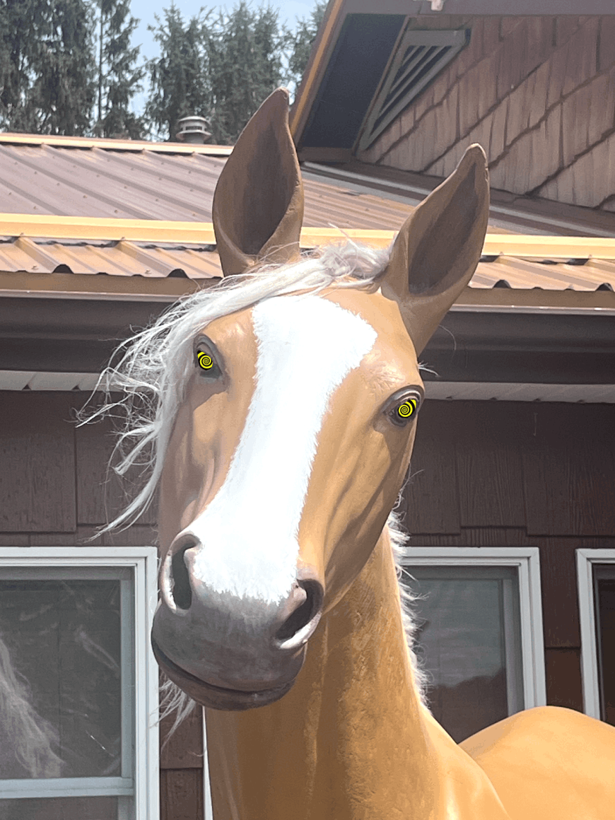 Remastered version of the Hypno-Horse!