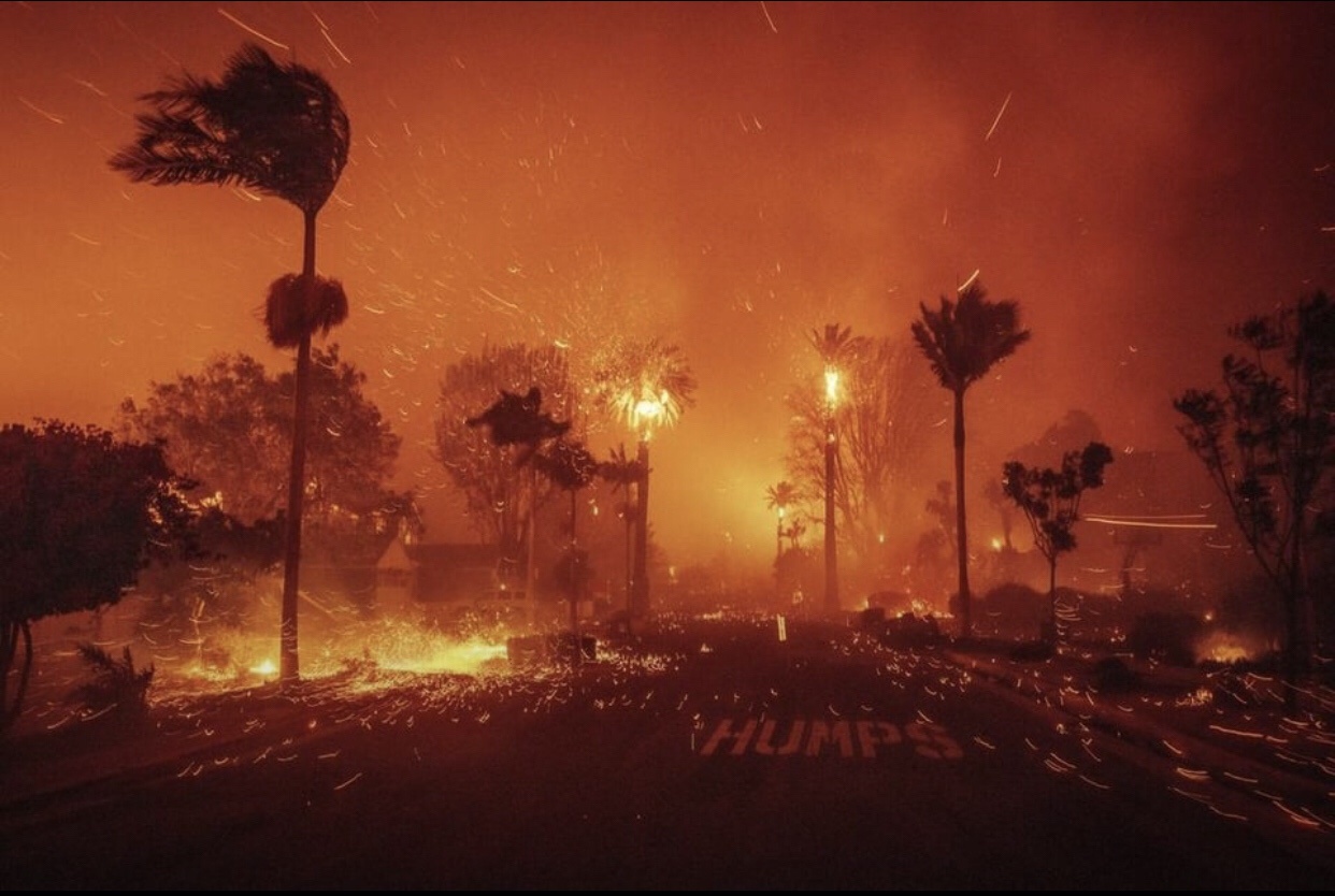 Armageddon Awaits! Finding Beauty in the Midst of Horror.