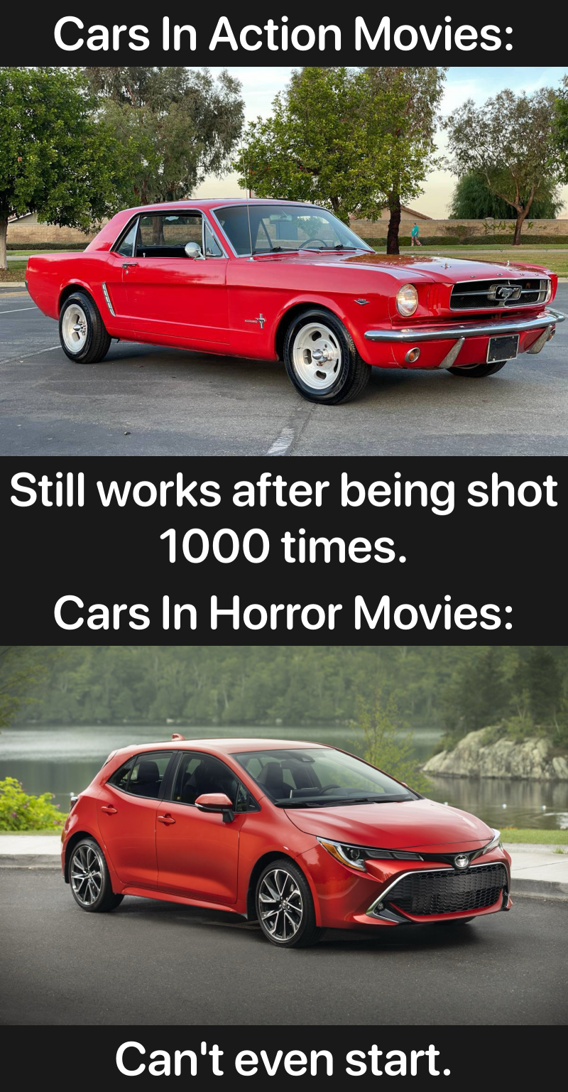 Truth Bombs: The Facts You Need to Know