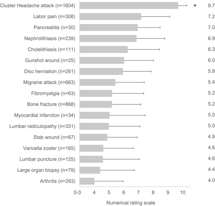 Cluster Headache: Measuring the Pain Level