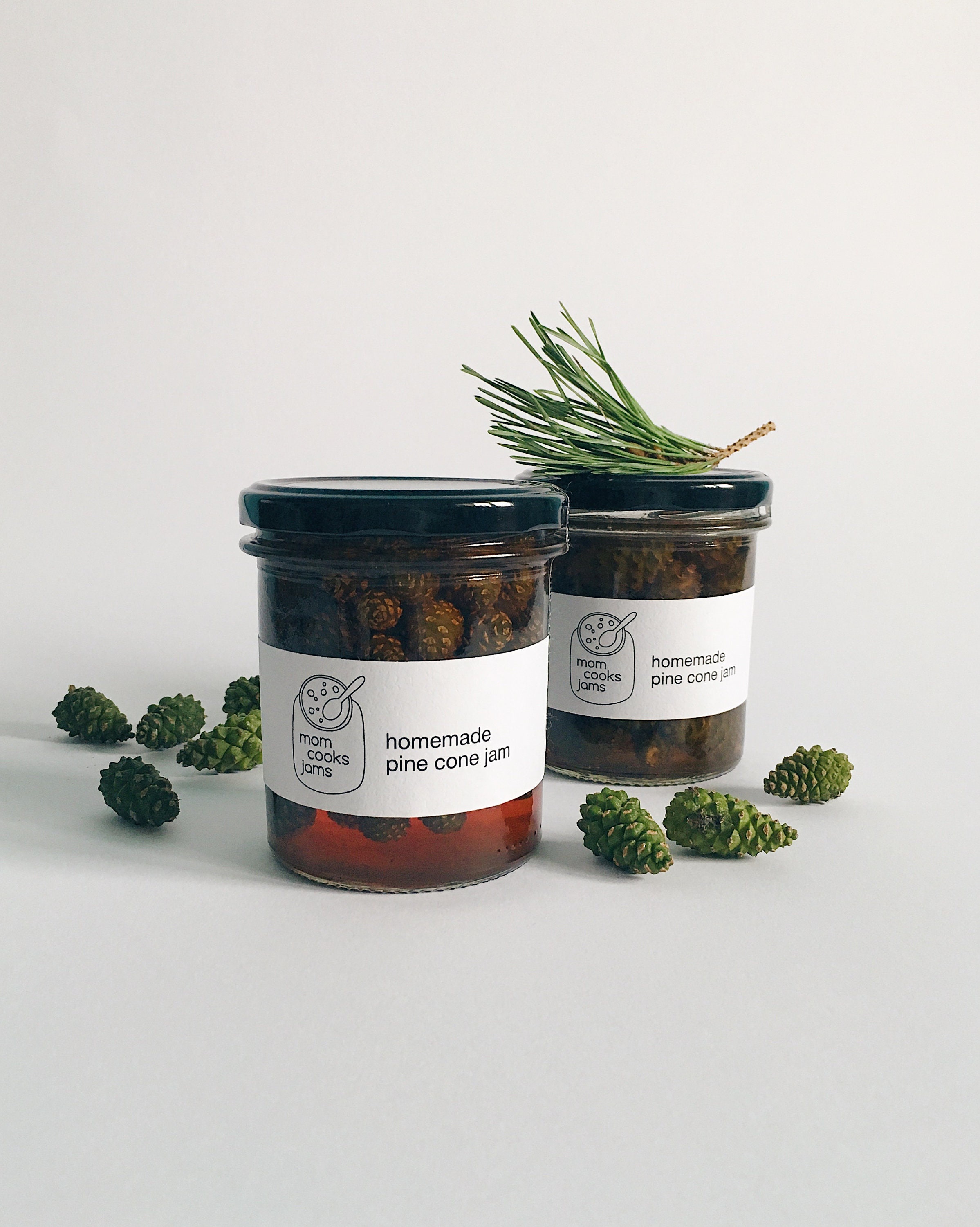 You Can't Make Jam from Acorns! Go Team Pinecone!
