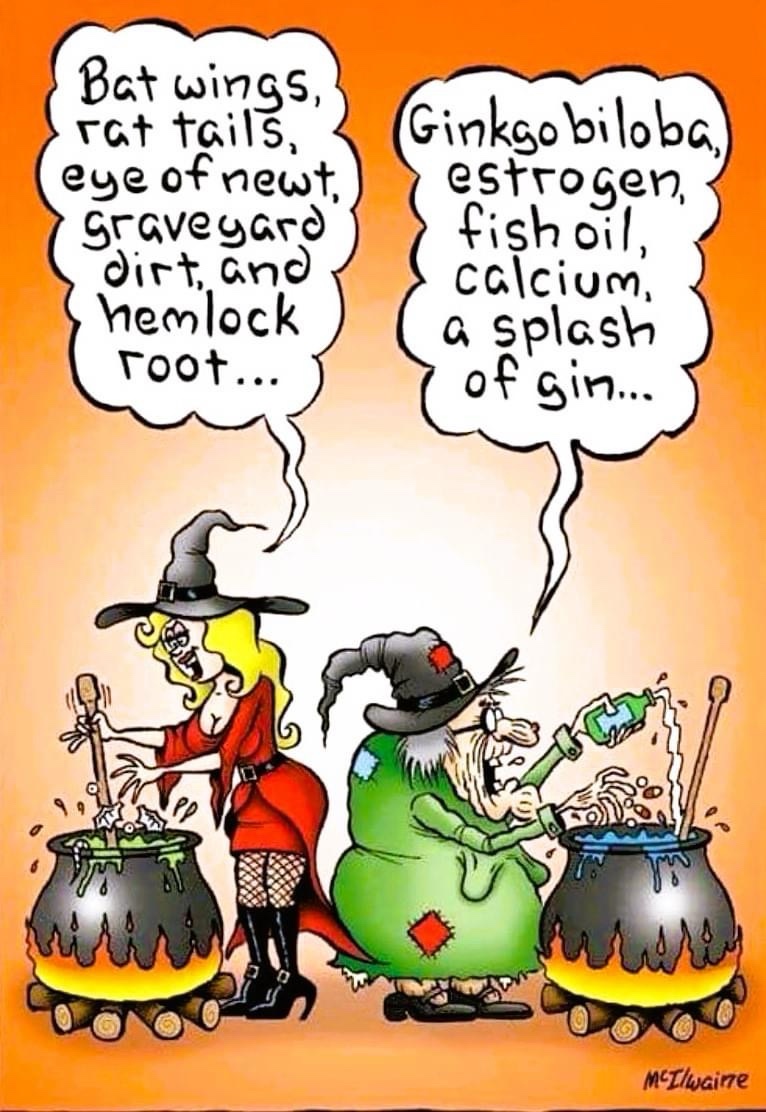 Exploring the Diverse Potions of Witches' Brews