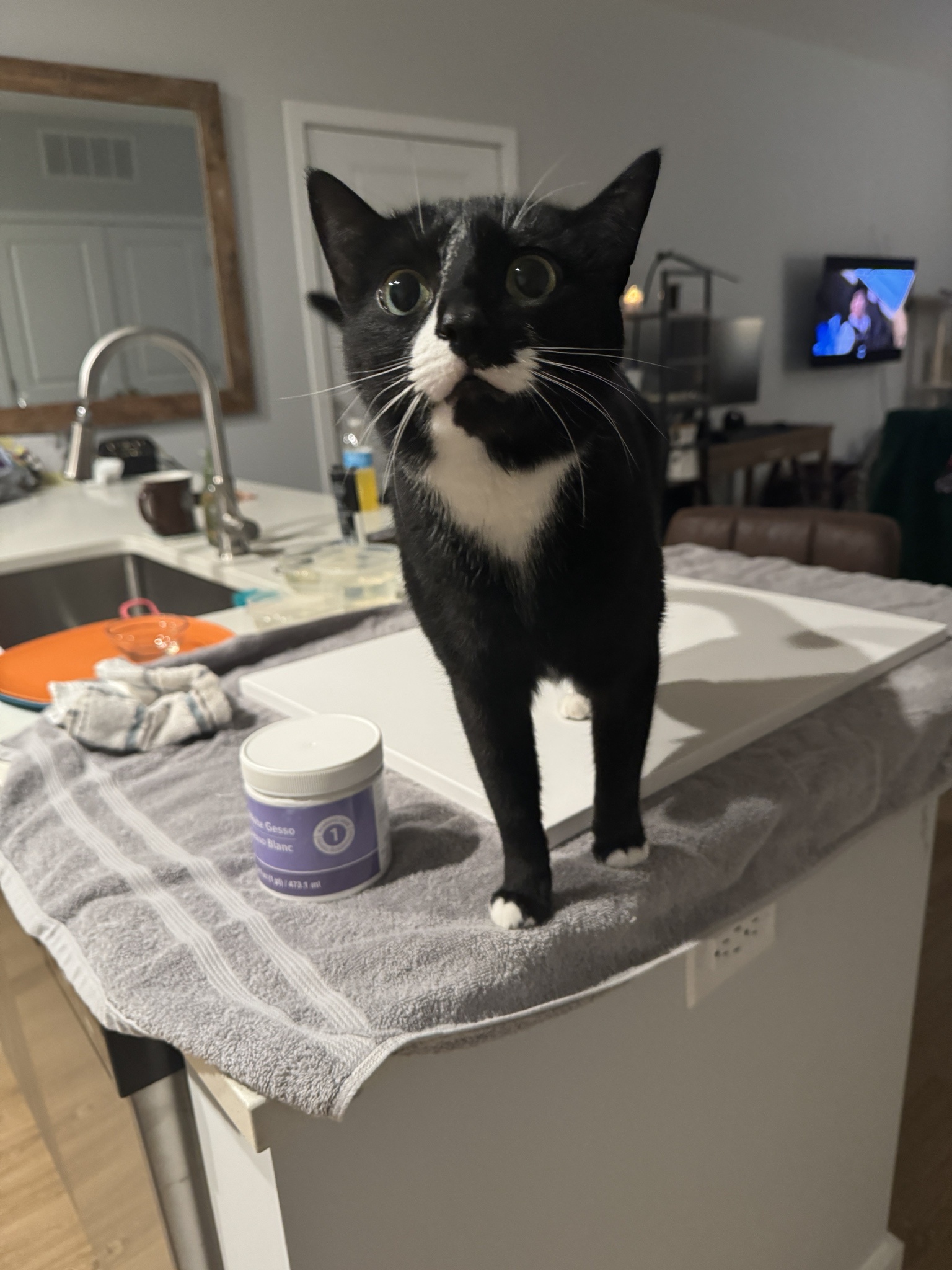 I have a feeling he really wants me to paint his portrait.