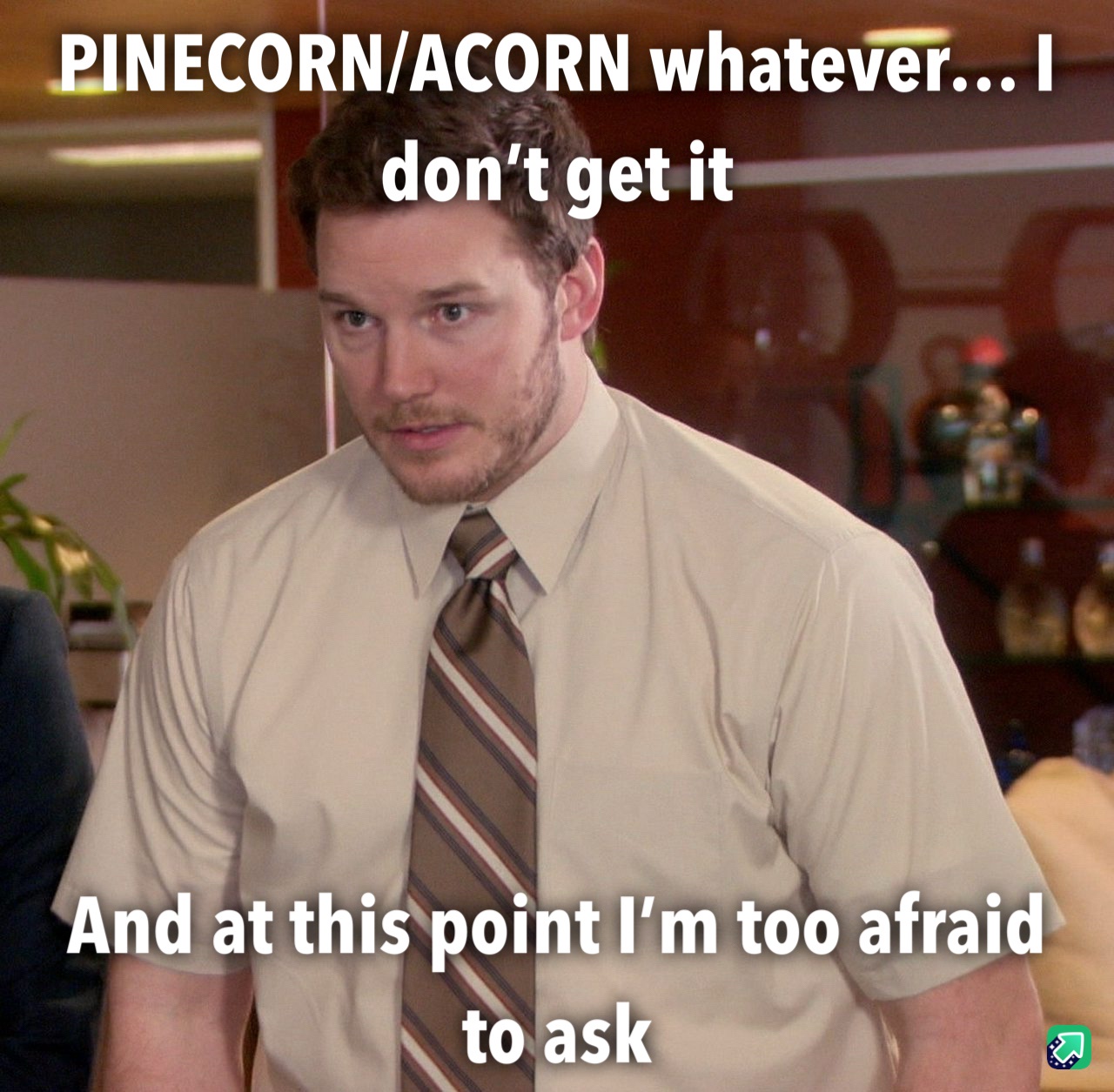 Too Many Acorns, Not Enough Pinecones!