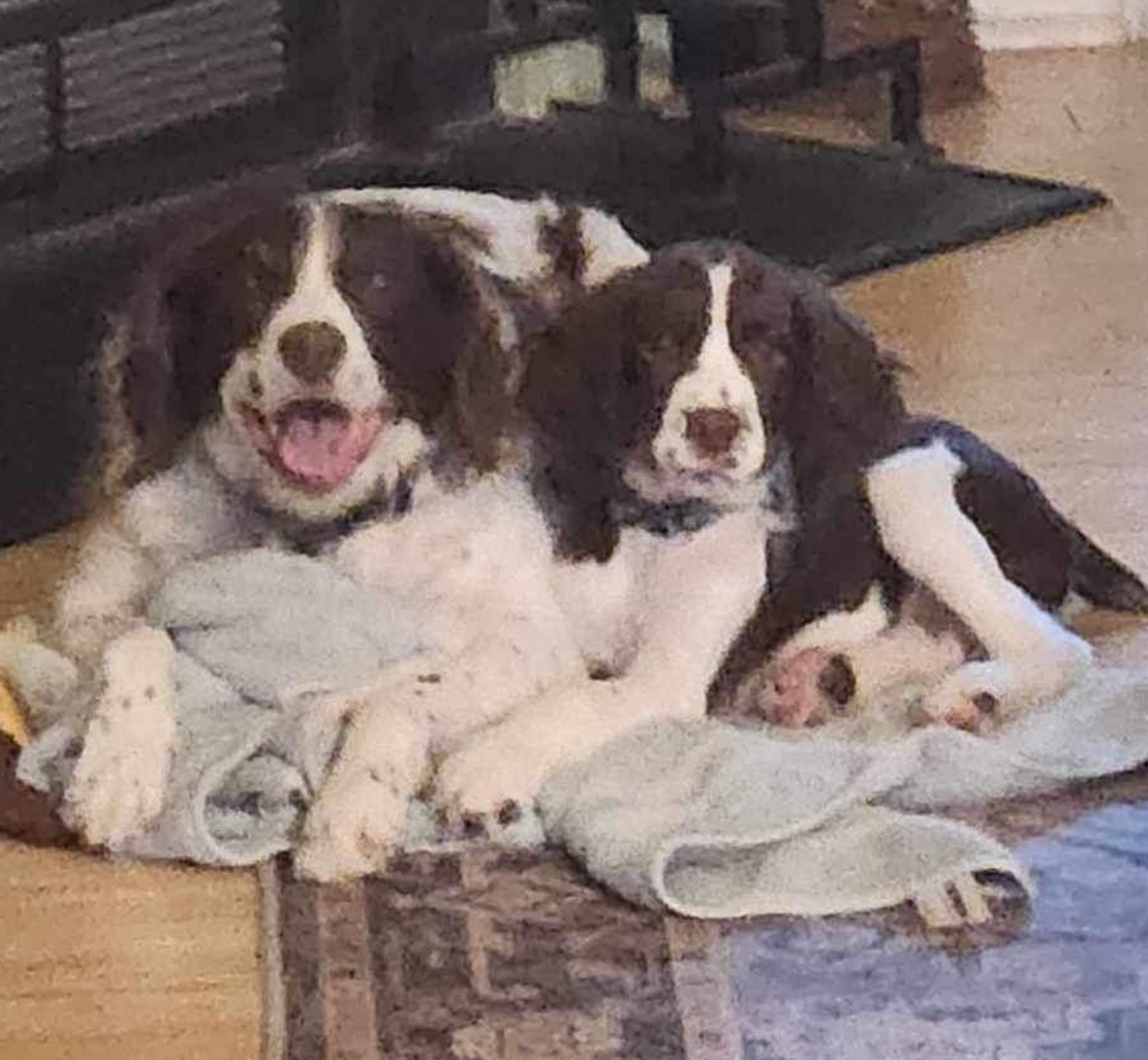 Best friends forever!