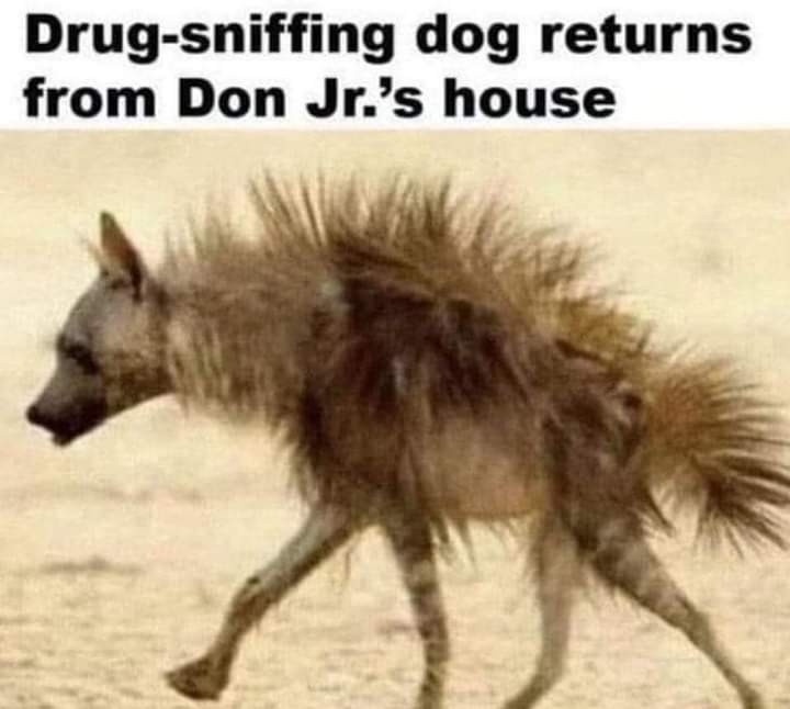 Adorable puppy in distress!