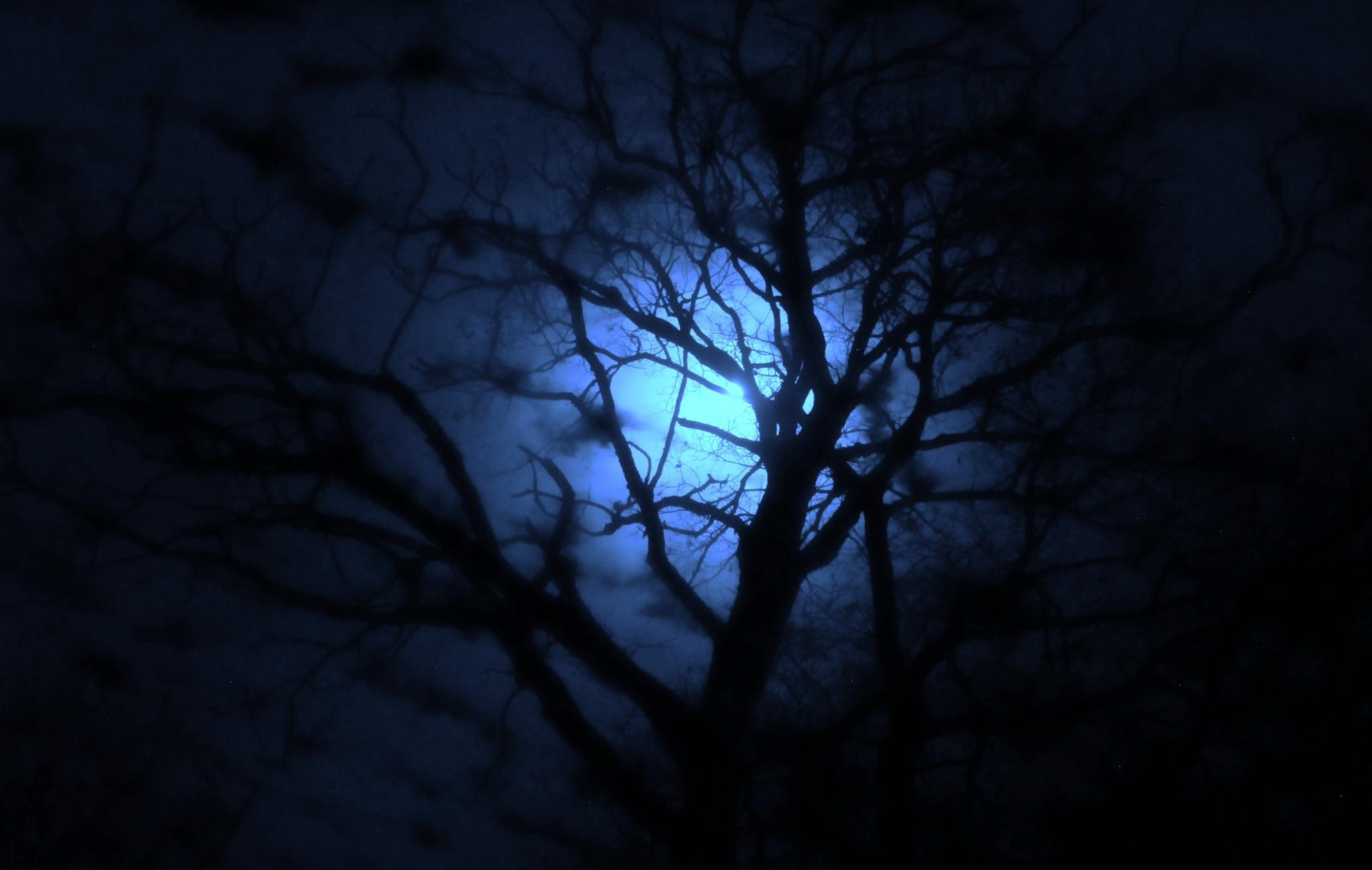 The enchanting glow of the November Moon.