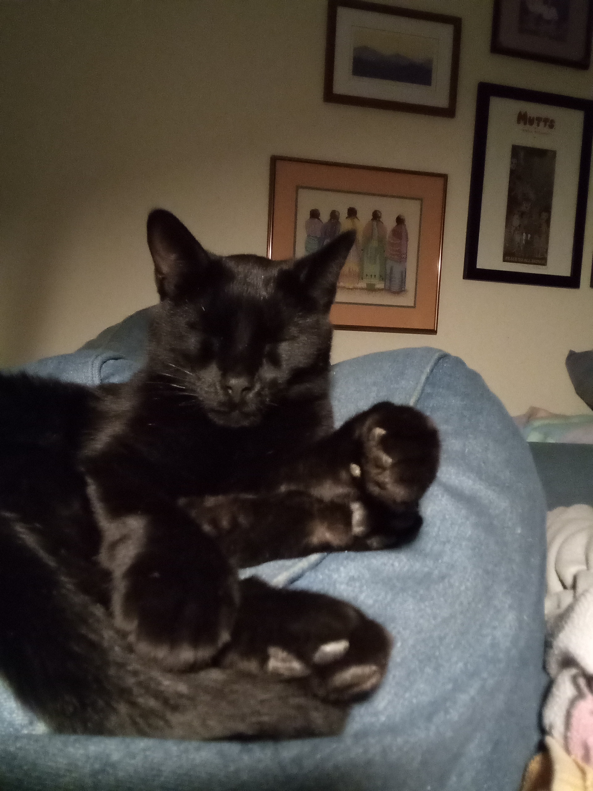 Is it just me, or does Benny have an unusually high number of feet?